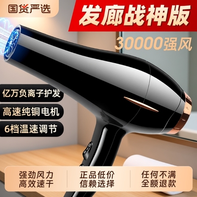 大风力速干发廊款吹风机