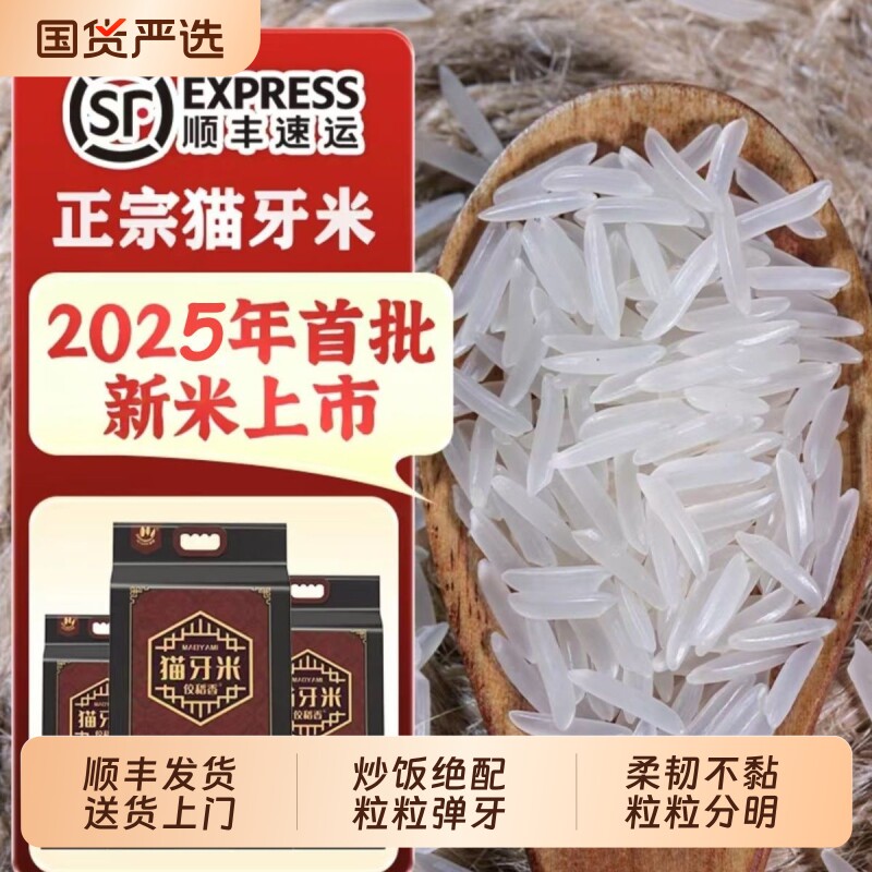 佼稻香猫牙米2025年新米炒饭专用油粘米长粒香大米丝苗米香米5kg