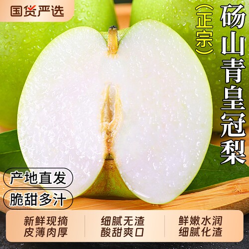 正宗砀山梨子！酥脆爽口汁多味甜
