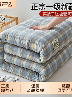 棉被新疆棉花被冬被芯冬季加厚保暖正宗长绒棉宿舍单人被褥春秋被