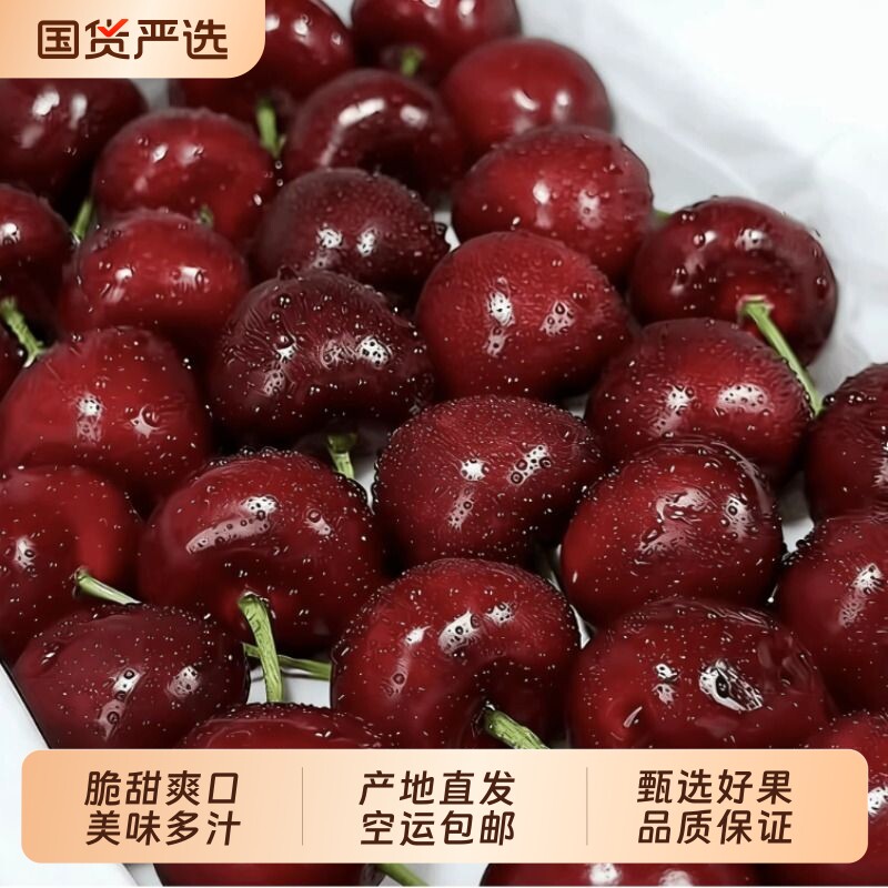 现货大连美早大樱桃国产车厘子新鲜孕妇水果礼盒装送礼甜蜜空运