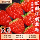 顺丰 包邮 正宗红颜奶油草莓99红颜牛奶大奶油新鲜水果礼盒当季 整箱