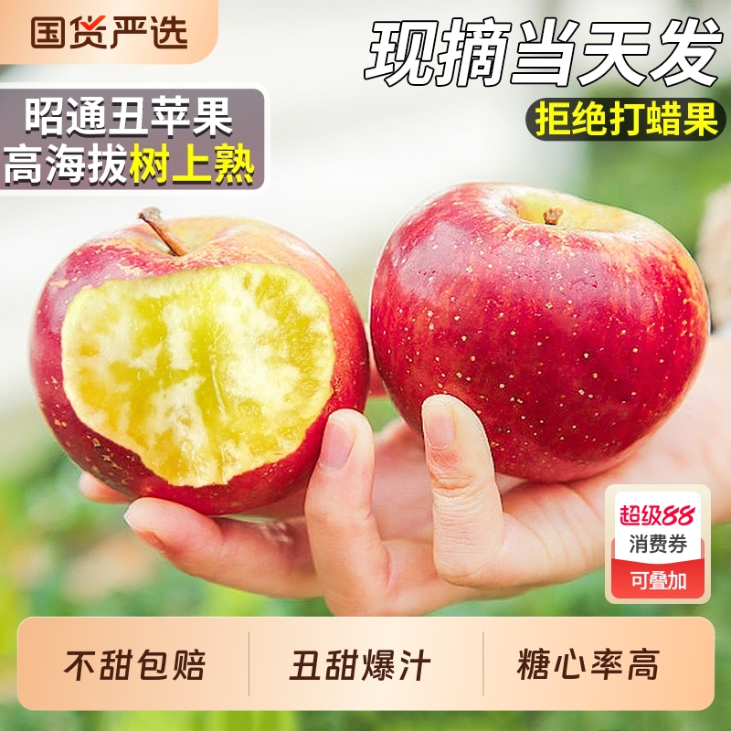 【现摘次日达】云南昭通丑苹果！