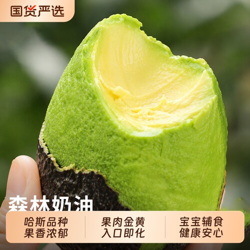 秘鲁进口牛油果应当季新鲜水果整箱特大果非即食鳄梨孕妇超大果