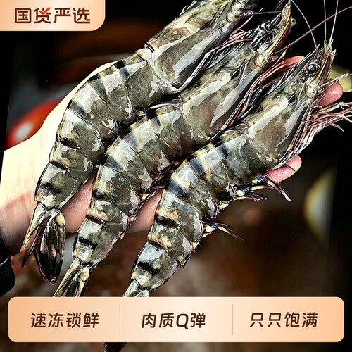 直播间推荐黑虎虾2030鲜活速冻大虾肉质大虎虾1500g/盒新鲜水产