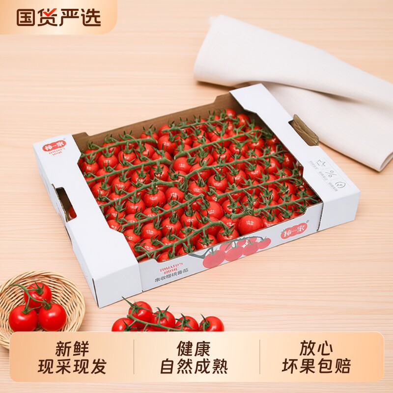 柿一家串收樱桃番茄新鲜水果千禧圣女果小西红柿小番茄一颗爆汁