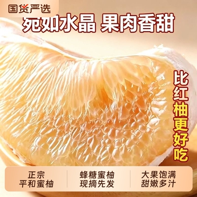 福建平和正宗白心蜜柚