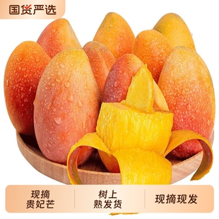 现摘海南贵妃芒芒果4.5斤