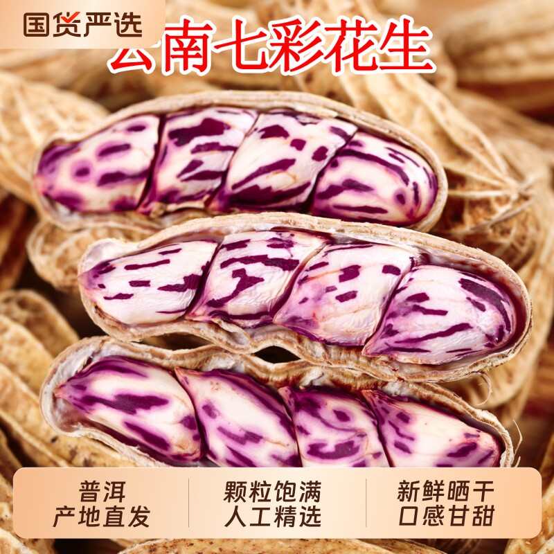 云南七彩花生2026新货晒干种籽生带壳熟五彩花生米新鲜健康特色