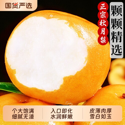 正宗秋月梨！当季鲜果脆甜多汁