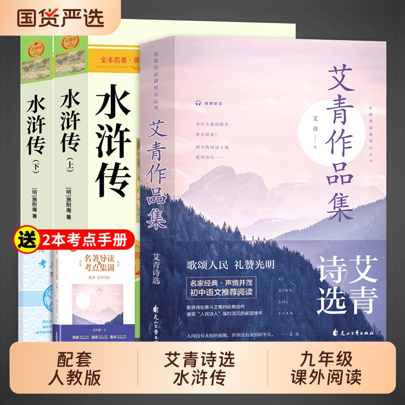 水浒传九年级必读正版完整版