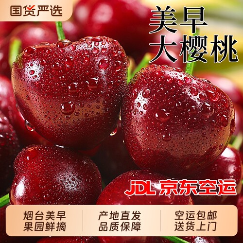 烟台美早大樱桃！京东空运送上门
