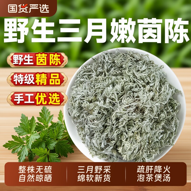 野生茵陈中药材五味子正品官方旗舰店三月绵茵陈白蒿泡茶功效新鲜