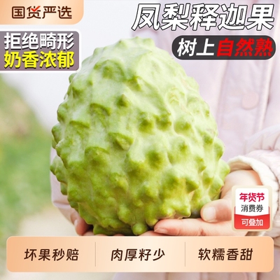 【冰淇淋口感】牛奶凤梨释迦果！