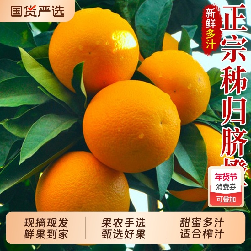 湖北三峡脐橙秭归橙子现摘大果新鲜当季好果包邮水果手剥果冻甜橙,水产肉类/新鲜蔬果/熟食,橙,淘宝优惠券,粉丝福利购,淘宝优惠卷