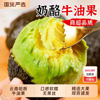牛油果15个新鲜水果当季时令整箱包邮巨无霸鳄梨即食宝宝辅食哈斯