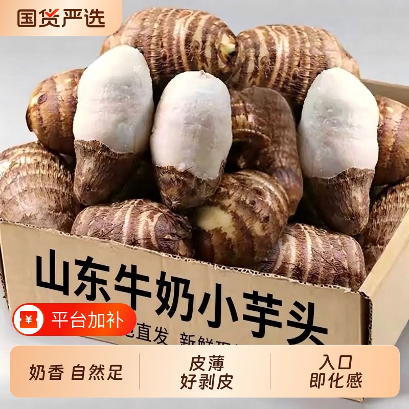 山东牛奶小芋头新鲜现挖蔬菜农家自种软糯奶油芋头芋艿整箱批发