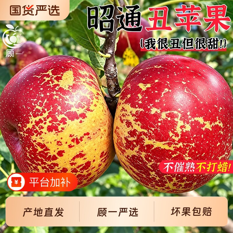 云南昭通糖心丑苹果新鲜水果特产当季时令旗舰店红富士直发现摘