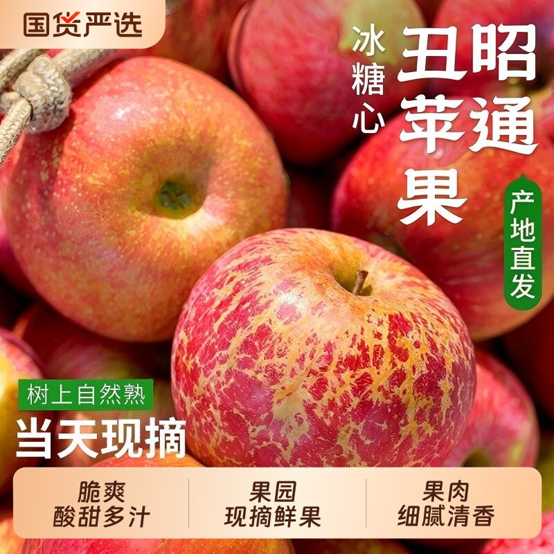 云南昭通丑苹果正宗冰糖心红富士新鲜水果脆甜应当季整箱绍通现摘