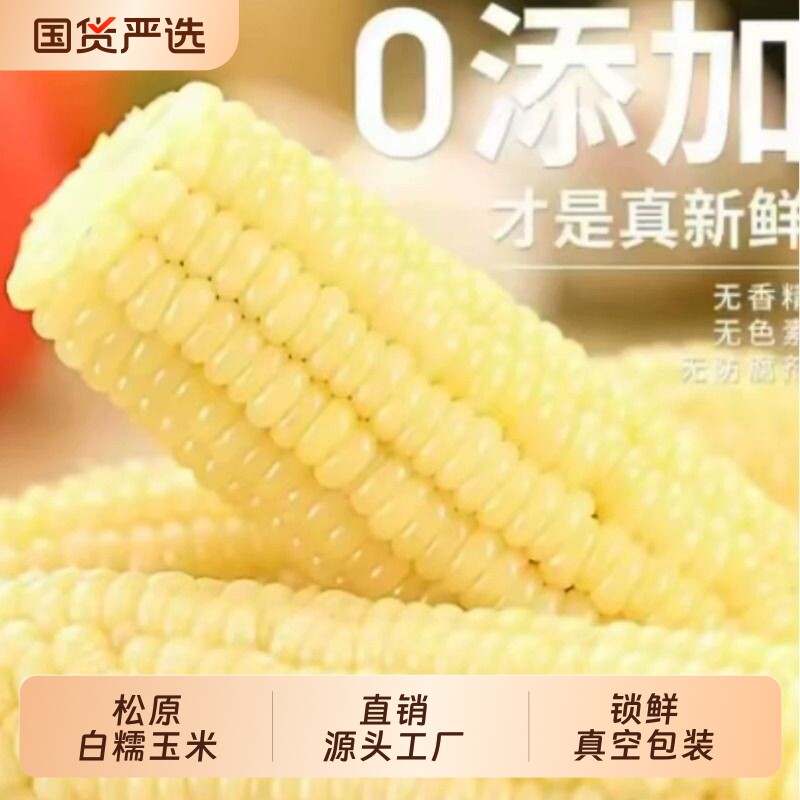 煜松东北特产鲜白糯玉米新鲜无添加玉米非转基因粘苞米真空装香甜