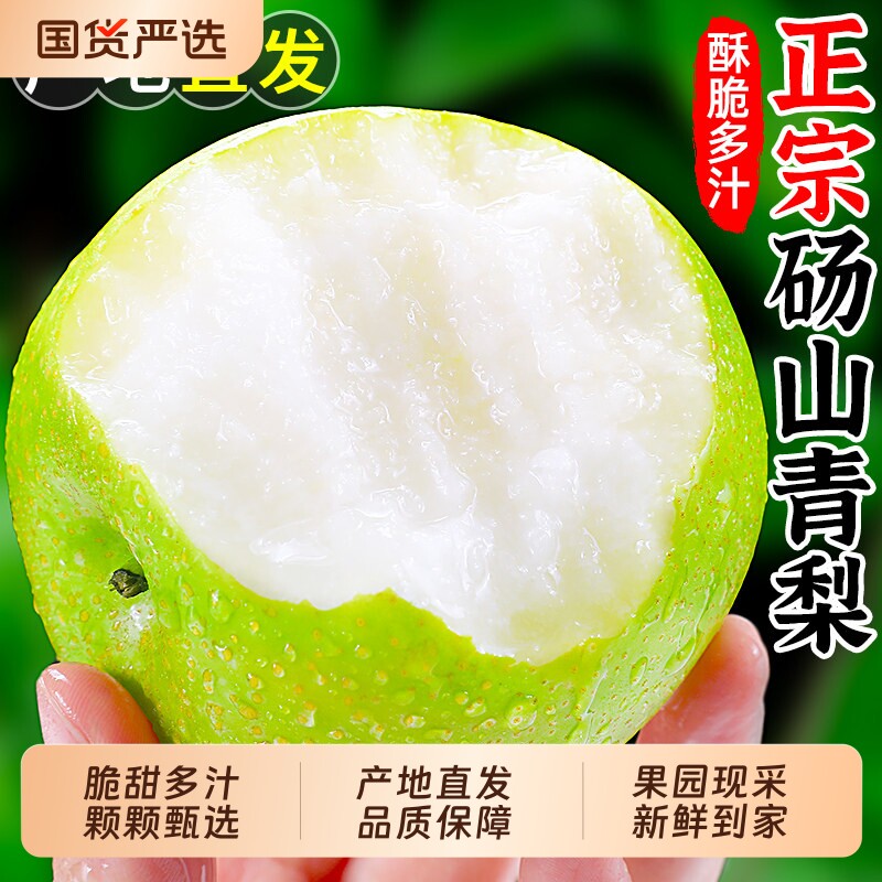 砀山青皮梨蜜梨脆甜无渣汁水新鲜水果梨砀山脆甜梨脆甜多汁