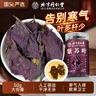 北京同仁堂紫苏叶饮干中药材新鲜食用野生泡水喝搭泡脚澡旗舰陈皮