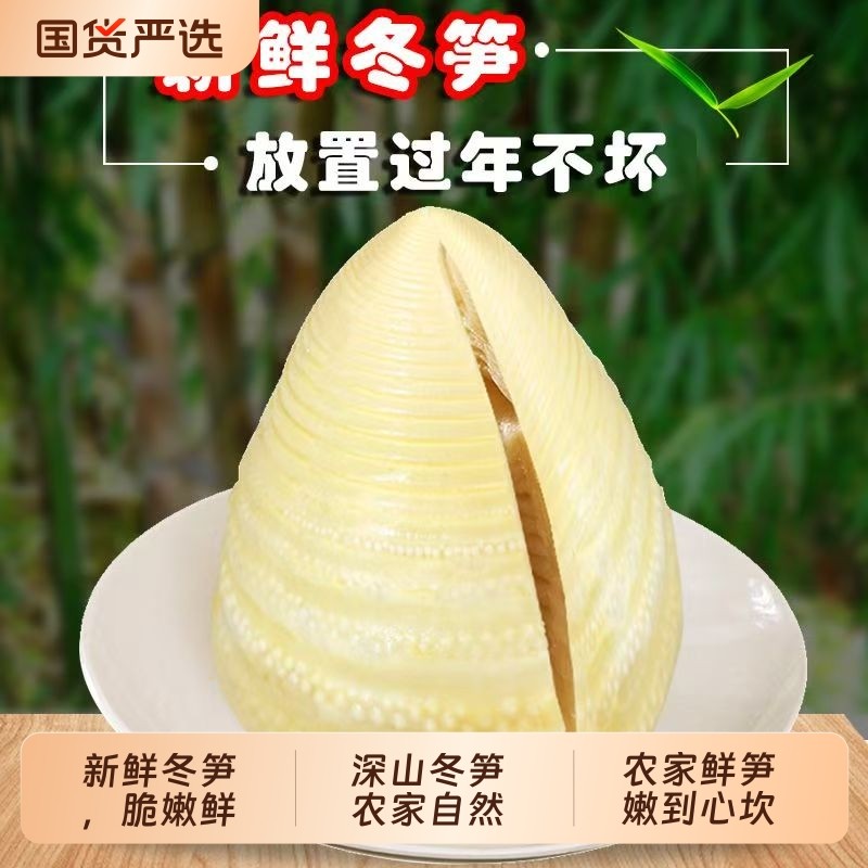 当季新鲜水煮冬笋 嫩笋尖袋装 清水竹笋商用家用煲汤炒菜火锅多用,零食/坚果/特产,笋类制品,淘宝优惠券,粉丝福利购,淘宝优惠卷