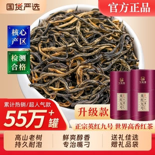 正宗英德红茶英红九号老树新茶浓香型茶叶自己喝口粮茶送礼罐装