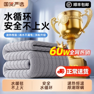 水暖毯水暖电热毯电褥子电热垫双人单人2025新款开关水循环调温