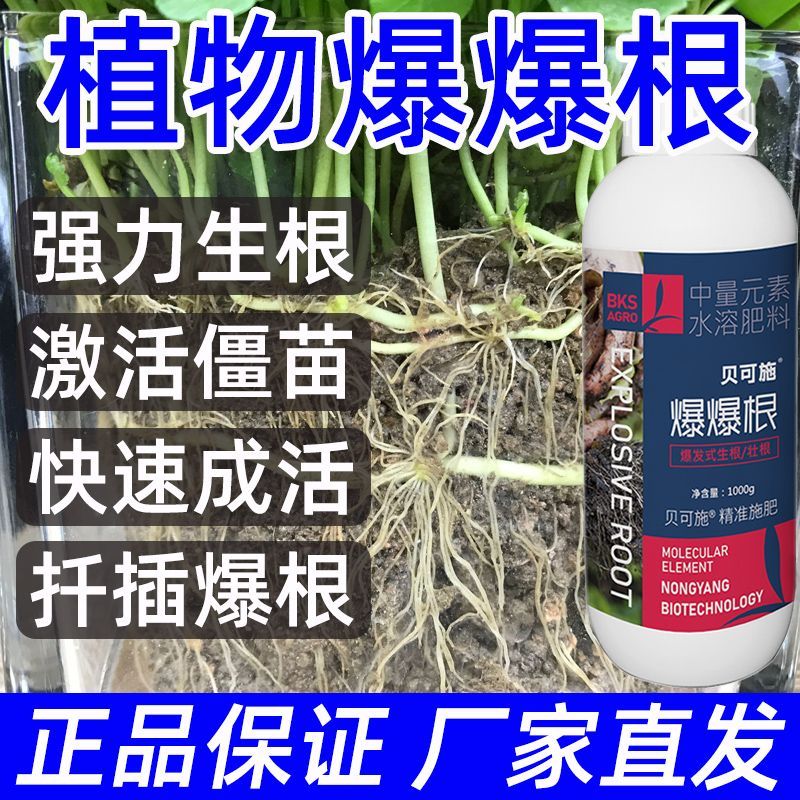 植物通用生根壮苗灵树苗果树专用生根剂扦插水溶肥叶面肥料爆爆根