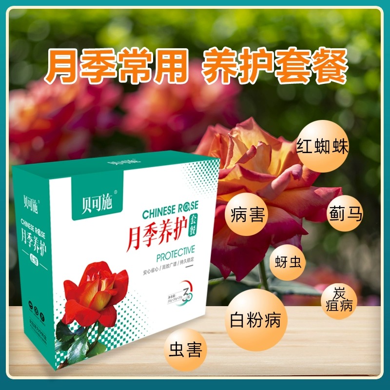 贝可施月季花病虫害常