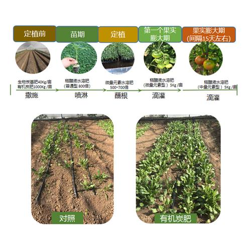 农科院有机肥料花卉植物蔬菜瓜果通用多种元素营养水溶肥炭基质肥 鲜花速递/花卉仿真/绿植园艺 家庭园艺肥料 原图主图