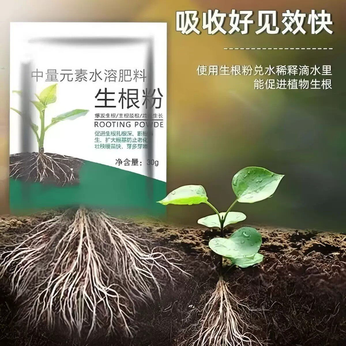 强力植物生根粉花果控释肥壮苗剂多肉花卉扦插粉水溶种菜肥料