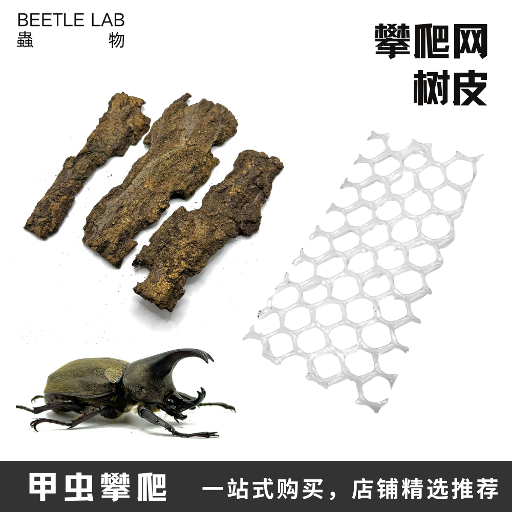 【甲虫攀爬】防侧翻甲虫独角仙成虫锹甲兜虫垫材产房攀爬网