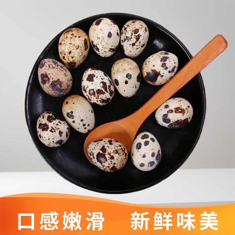 新鲜鹌鹑蛋杂粮喂优质营养鲜蛋