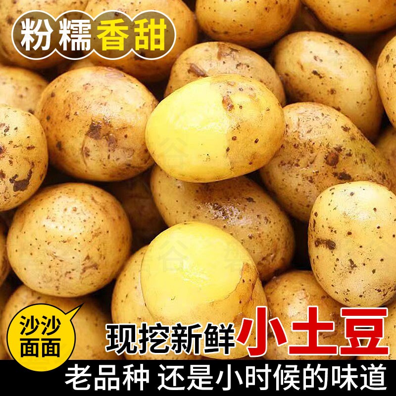 黄心土豆黄皮黄心新鲜农家自种洋芋马铃薯小土豆当季新鲜蔬菜