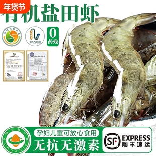 真有机无抗盐田大虾盐冻白虾活冻虾礼盒装宝宝辅食新鲜冷冻2斤装