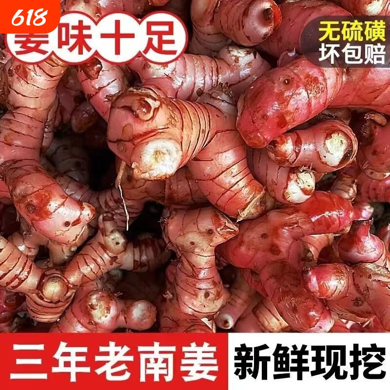 正宗广东红皮老南姜新鲜现挖生姜应季提味调料野山姜潮汕特产批发