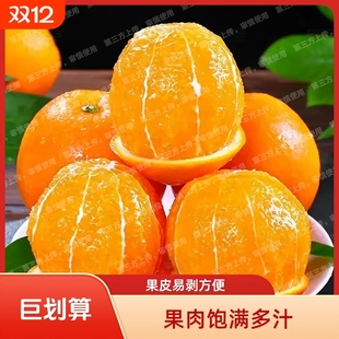 正宗高山纽荷尔脐橙*9斤