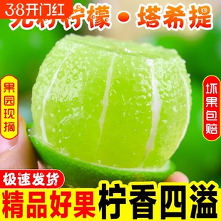 泰国无籽柠檬5斤薄皮一级小青柠海南塔希提奶茶店绿皮香水果整箱9