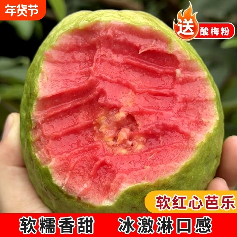 广西软糯红心双拼奶油芭乐番石榴新鲜当季水果现摘现发冰淇淋鲜果,水产肉类/新鲜蔬果/熟食,番石榴/芭乐,淘宝优惠券,粉丝福利购,淘宝优惠卷