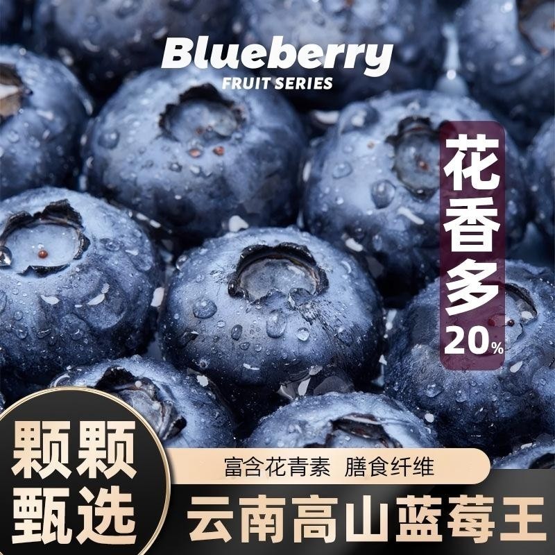 云南高山蓝莓鲜果新鲜水果当季怡颗蓝莓高山L25花香现摘整箱包邮,水产肉类/新鲜蔬果/熟食,蓝莓,淘宝优惠券,粉丝福利购,淘宝优惠卷