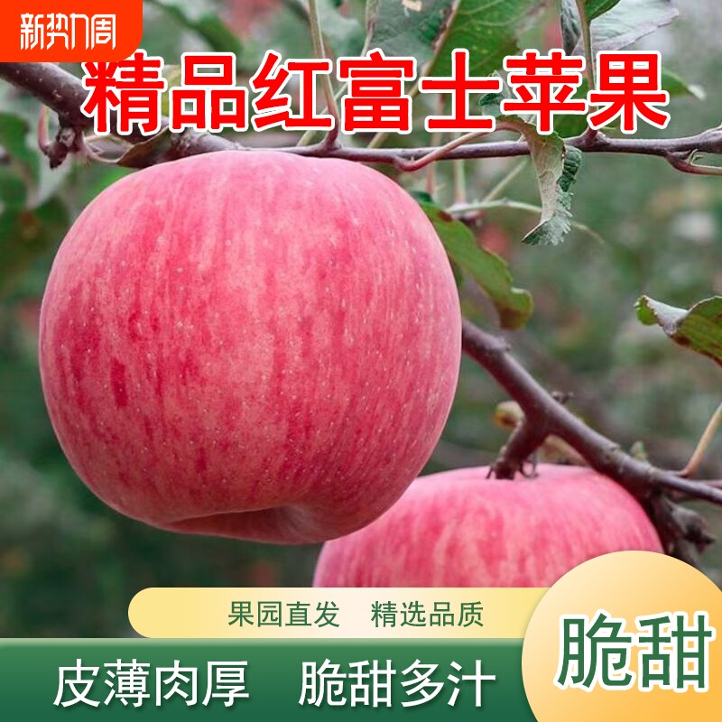 正宗条纹红富士苹果新鲜水果晚熟红富士脆甜多汁皮薄肉厚