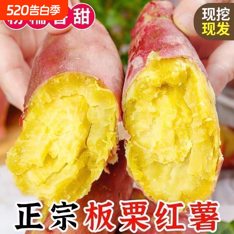 实惠正宗沙地板栗板栗薯黄栗子薯黄心甜糯鸡蛋黄栗薯甜黄金蜜地瓜