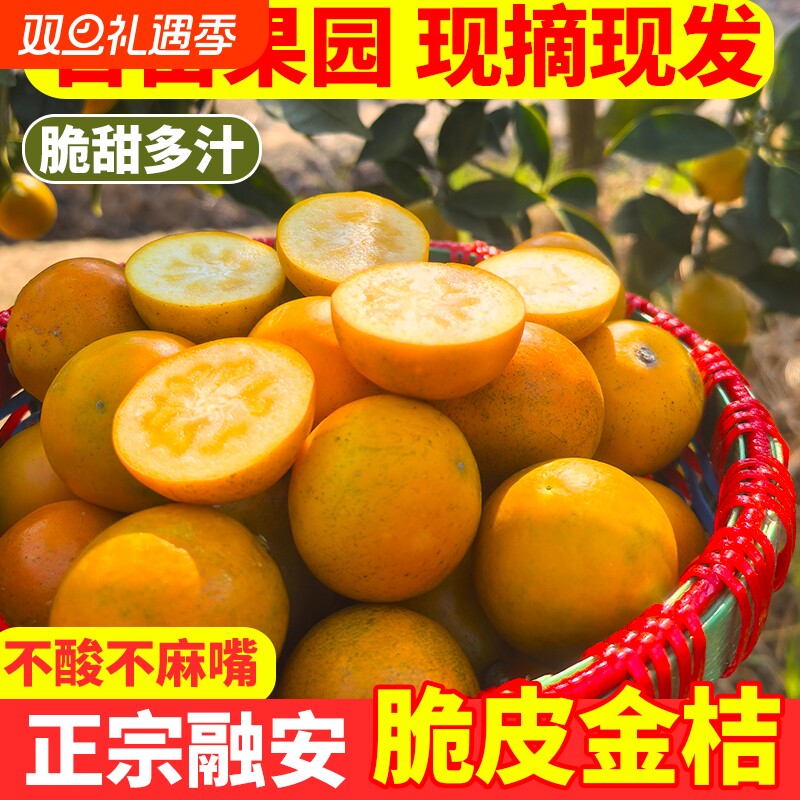 正宗脆皮金桔广西融安滑皮金桔鲜果皮薄纯甜蜜桔孕妇应季水果