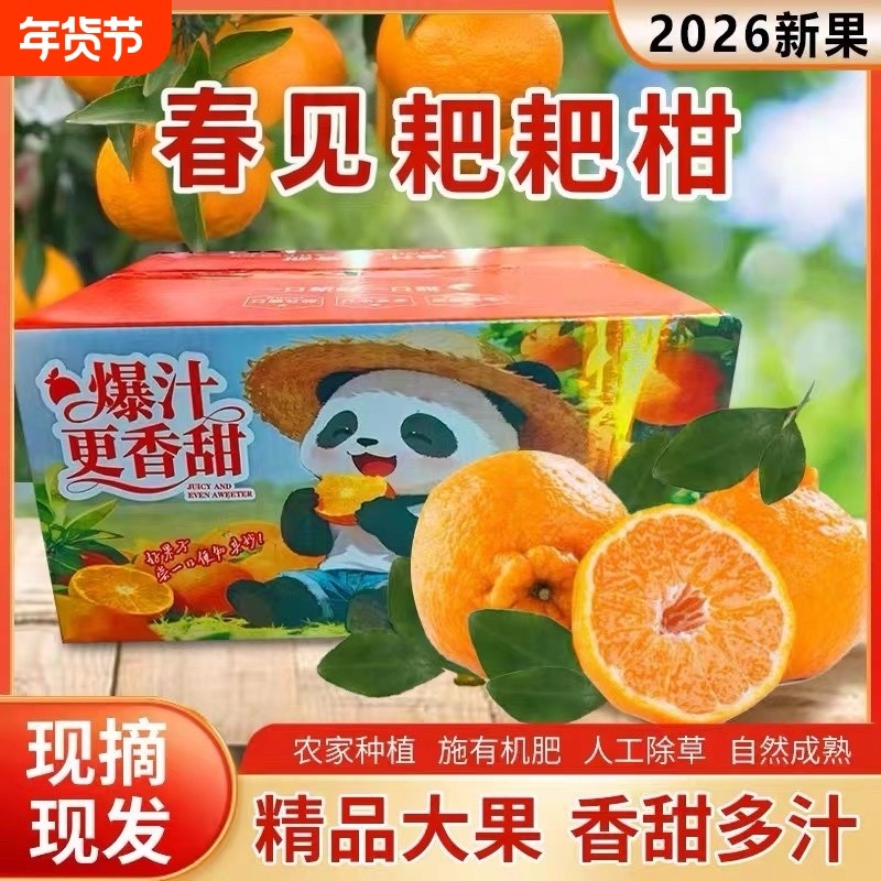 正宗四川春见耙耙柑当季新鲜桔子应季水果薄皮橘子正宗特级柑橘,水产肉类/新鲜蔬果/熟食,桔子,淘宝优惠券,粉丝福利购,淘宝优惠卷