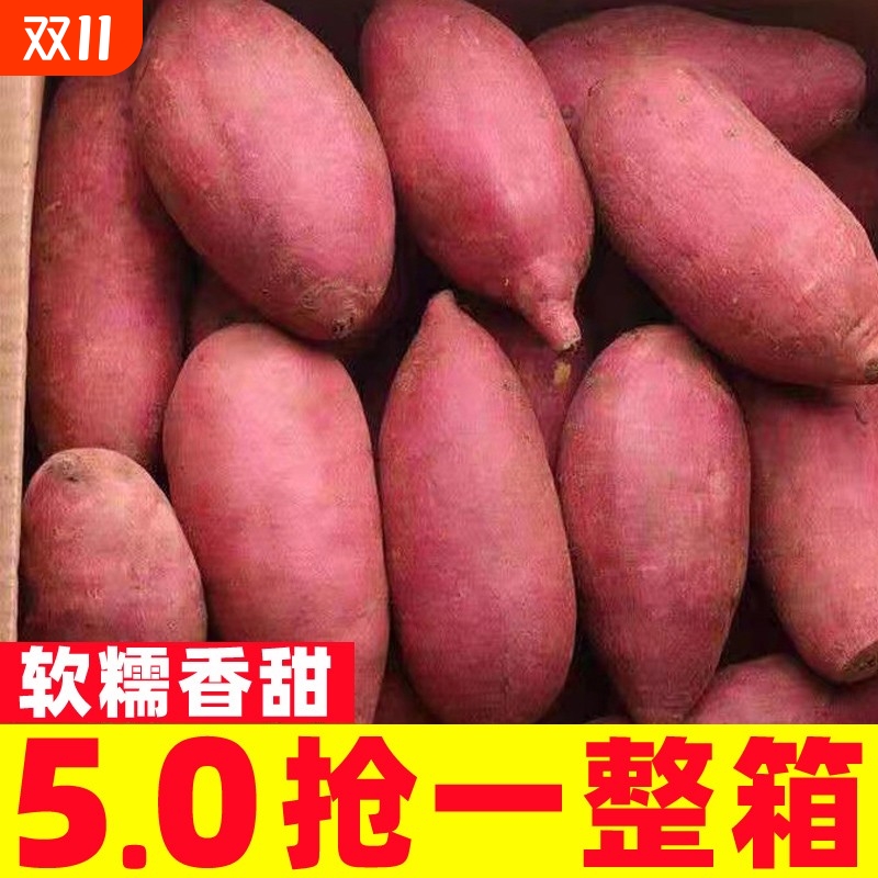 正宗开封沙地蜜薯黄心番薯河南