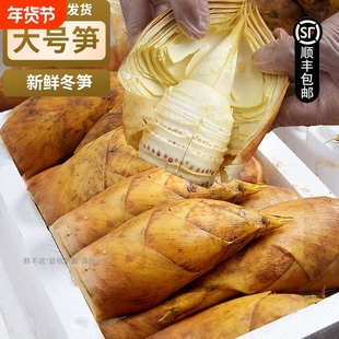 整箱顺丰浙江发货新鲜冬笋大竹笋鲜笋蔬菜野生新鲜现挖雷竹笋春笋