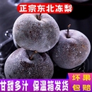 包邮 冻梨东北特产梨子无渣新鲜水果大果华盖黑梨丑梨酸甜当季 整箱