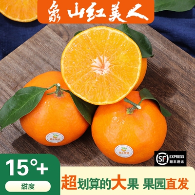红美人柑橘爆甜实惠装现摘现发